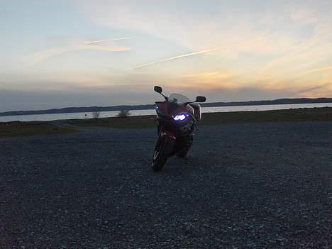 Yamaha YZF R6 (SOLGT) billede 5