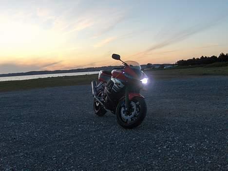 Yamaha YZF R6 (SOLGT) billede 6