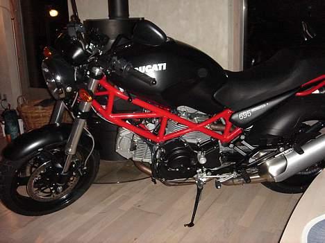 Ducati Monster 695 billede 1