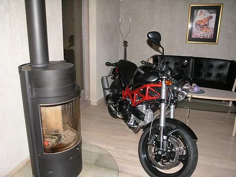 Ducati Monster 695 billede 5