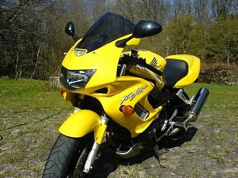Honda VTR 1000 Firestorm billede 6