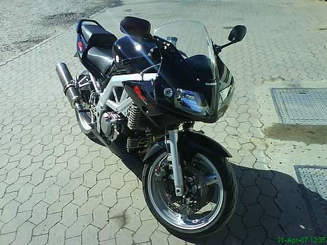 Suzuki SV 650 S #SOLGT# billede 2