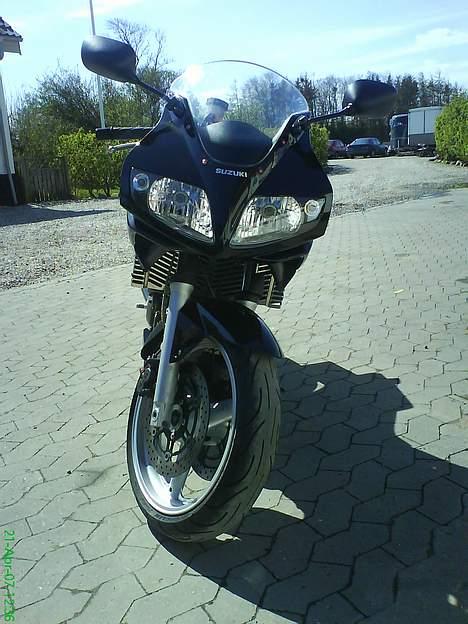 Suzuki SV 650 S #SOLGT# billede 3