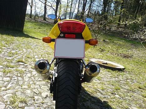 Honda VTR 1000 Firestorm billede 7