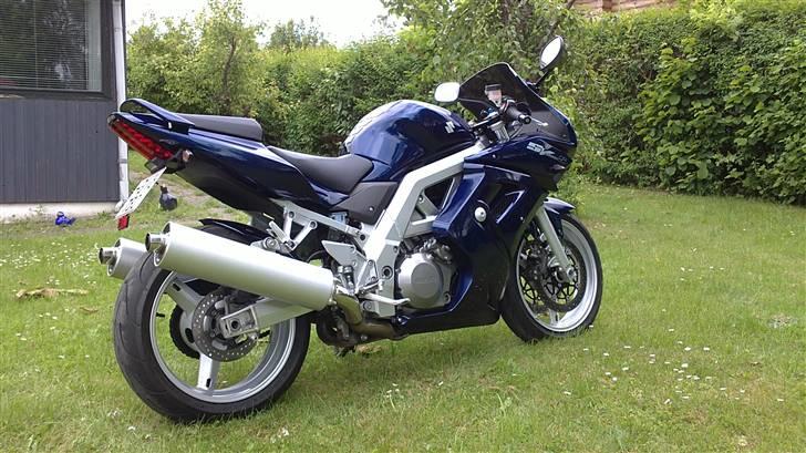 Suzuki SV1000s billede 2