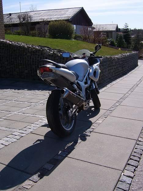 Suzuki SV650s billede 2