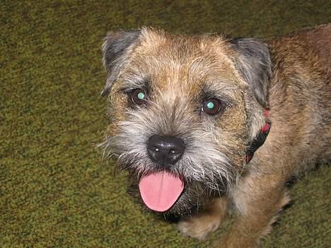 Suzuki GSR600 (Solgt) - Jeg har også en af de dersens "kamphunde"... billede 9