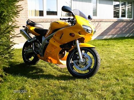 Suzuki SV 650 S Solgt billede 6