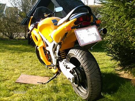 Suzuki SV 650 S Solgt billede 7