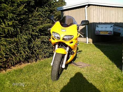 Suzuki SV 650 S Solgt billede 8