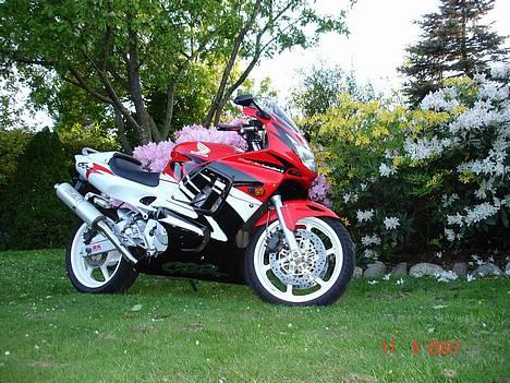 Honda CBR 600 F3 SOLGT billede 8