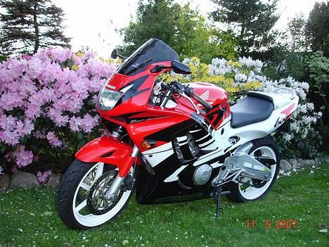 Honda CBR 600 F3 SOLGT billede 10