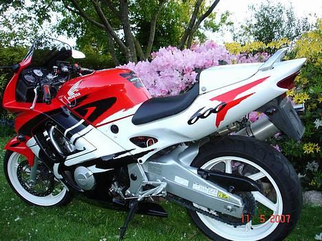 Honda CBR 600 F3 SOLGT billede 12