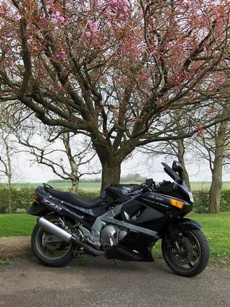 Kawasaki zzr 600 billede 20