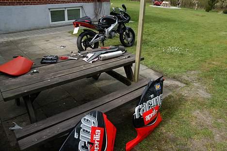 Aprilia RS 125 billede 6