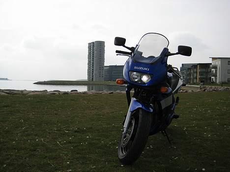 Suzuki GS 500 F (SOLGT) - Straight on !!  I Lindholm Strandpark billede 3