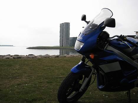 Suzuki GS 500 F (SOLGT) - Silo & MC billede 6