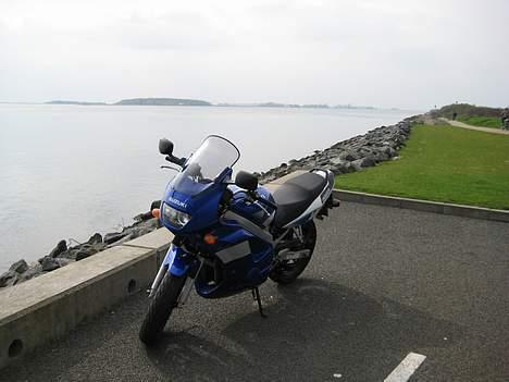 Suzuki GS 500 F (SOLGT) - Langs kysten billede 7