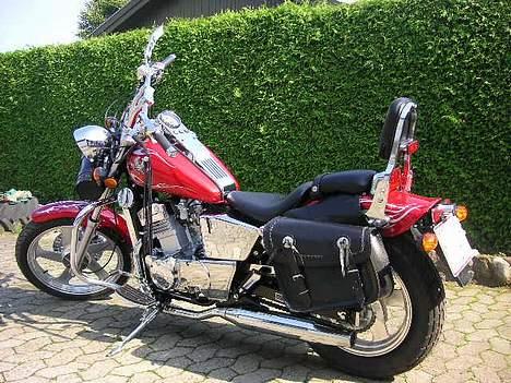 Regal Raptor Tidligere mc billede 2