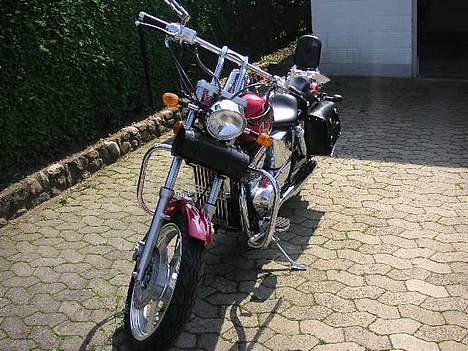 Regal Raptor Tidligere mc billede 3