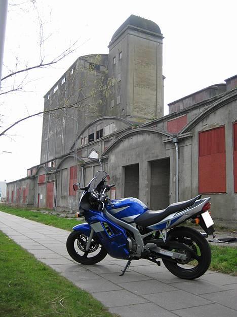 Suzuki GS 500 F (SOLGT) - Lidt mere fabriksbygning billede 9