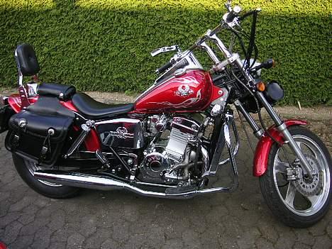 Regal Raptor Tidligere mc - billedet er det sidste nye 25.4.07 billede 4