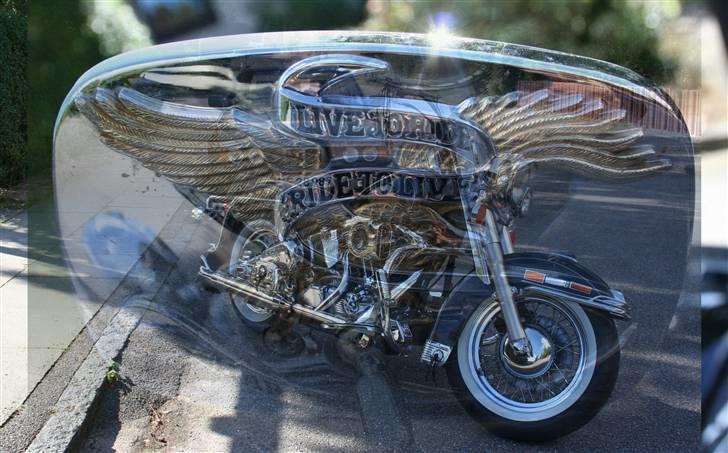 Harley Davidson Flstc billede 1