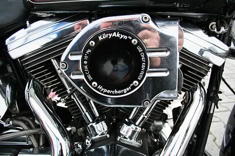 Harley Davidson Flstc billede 2