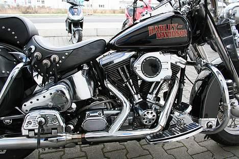Harley Davidson Flstc billede 4