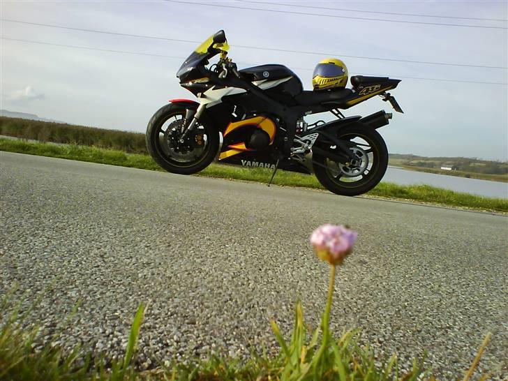 Yamaha YFZ "R46 rossi"  #SOLGT# billede 6