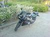 Yamaha FZR 600 [SOLGT]