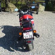 Honda CBR 1000F