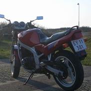 Suzuki GS 500E (SOLGT)