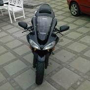 Kawasaki zx10r