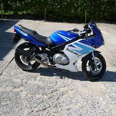 Suzuki GS500F >TILSALG<