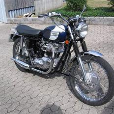 Triumph Bonneville 650