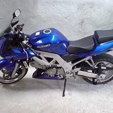 Suzuki Sv650s ( SOLGT )