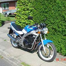 Suzuki gs500e 