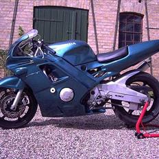 Honda CBR 600 F2 Banejern