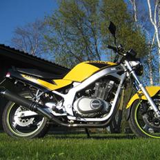 Suzuki GS500 (SOLGT)