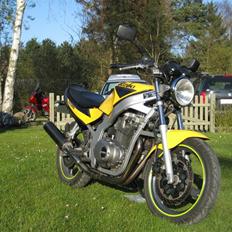 Suzuki GS500 (SOLGT)