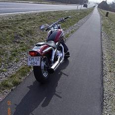 Suzuki VZ 800 Marauder