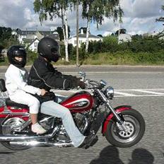 Suzuki VZ 800 Marauder