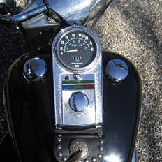 Harley Davidson FLH Elektra Glide