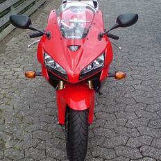 Honda CBR 600 RR  (SOLGT) 