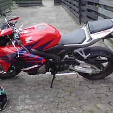 Honda CBR 600 RR  (SOLGT) 