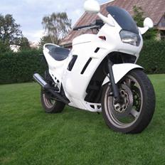 Suzuki GSX 400 F (død)