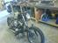 Harley Davidson stivstel