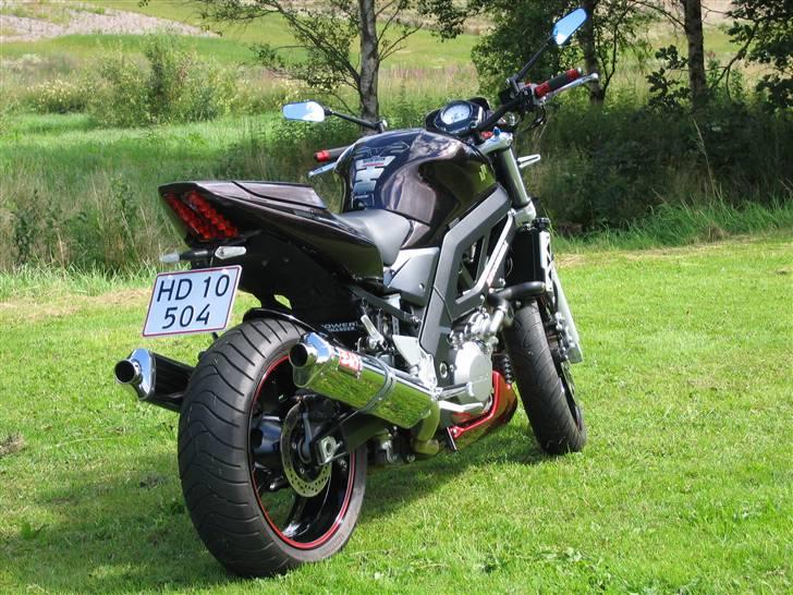 Suzuki SV 1000 " SOLGT " billede 9