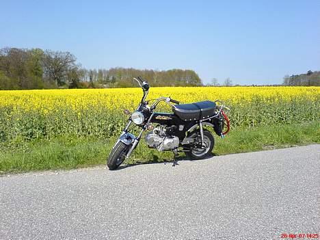 Skyteam Dax. / Mg - Flotteste. billede 18